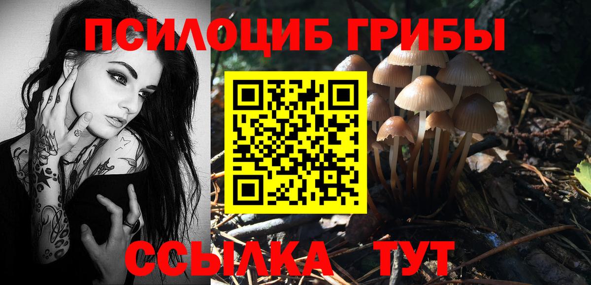 Псилоцибиновые грибы Magic Shrooms  Вход с VPN  Гусев 