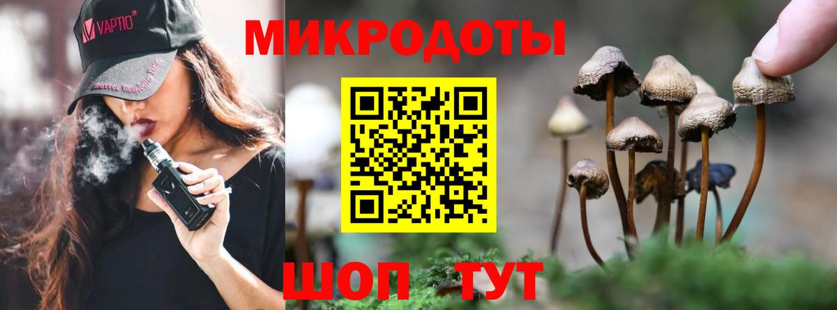 Псилоцибиновые грибы GOLDEN TEACHER Гусев
